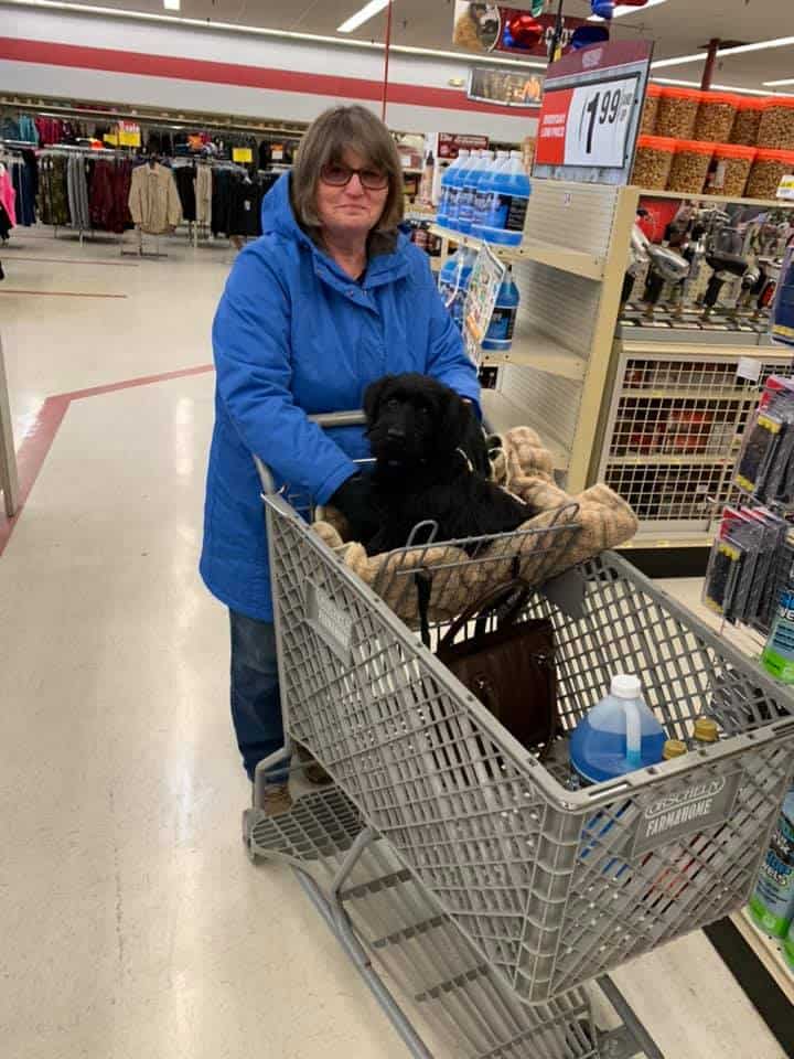 The Ultimate Dog Friendly Stores List 38 WellKnown Stores That Allow