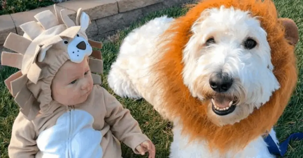 You're Not Ready for Halloween Until You've Seen These 21 Adorable Doodle Costumes