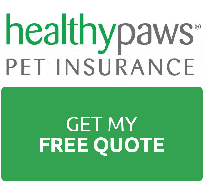 healthy paws pet insurance
