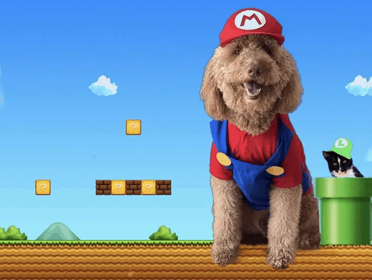 goldendoodle mario costume for halloween