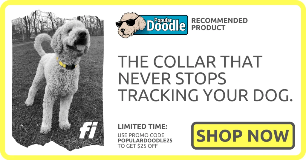 Fi Dog Collar