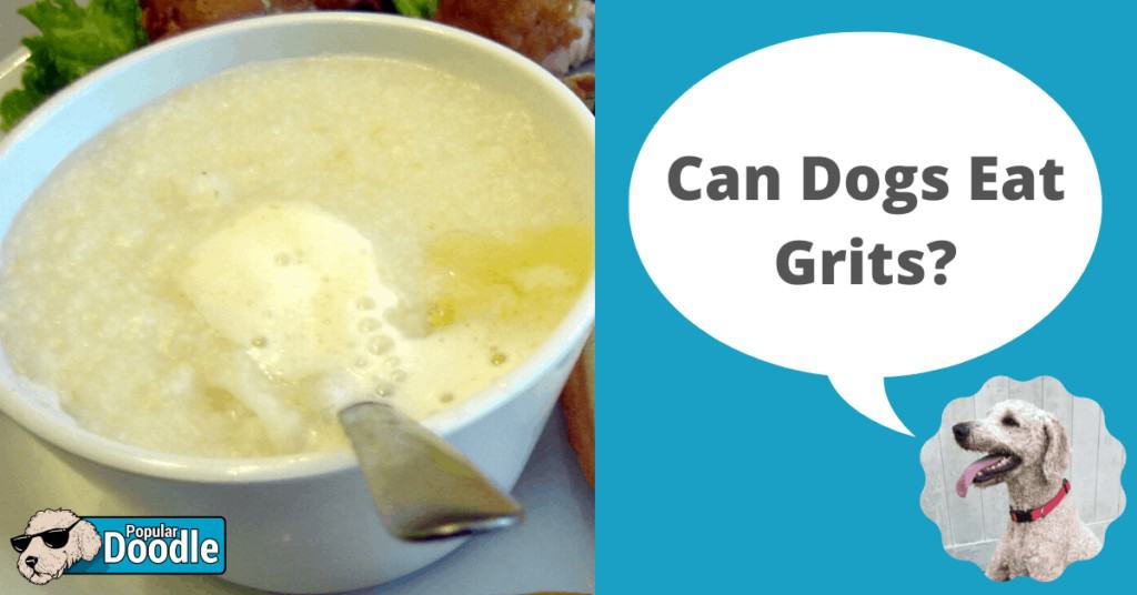 can dogs have grits