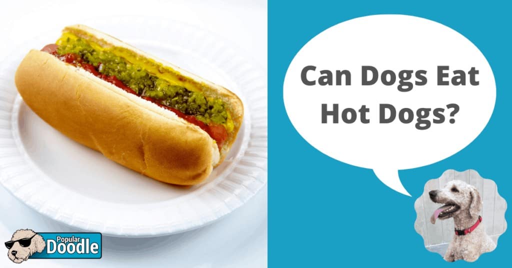 are hot dogs bad for dogs
