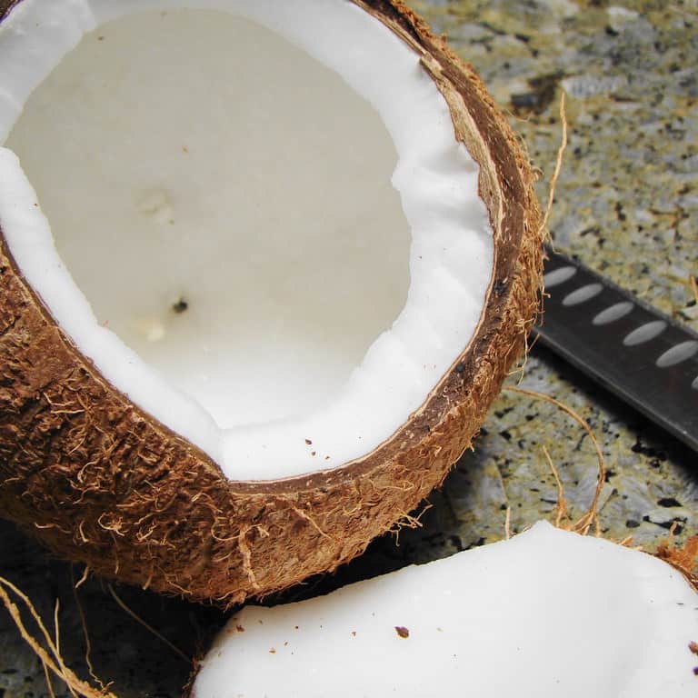 Is Coconut Ok For Dogs To Eat at Claude Franklin blog