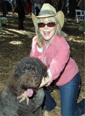 Barbara Eden Labradoodle