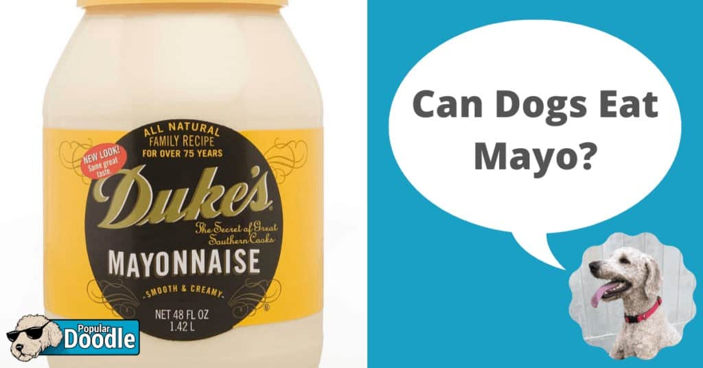 Can Dogs Eat Mayo?