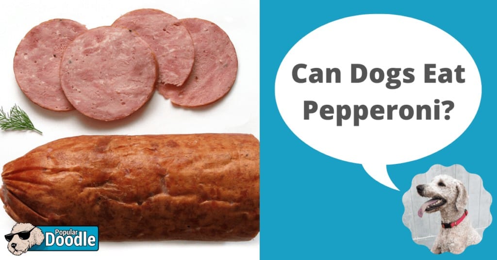 is pepperoni bad for dogs