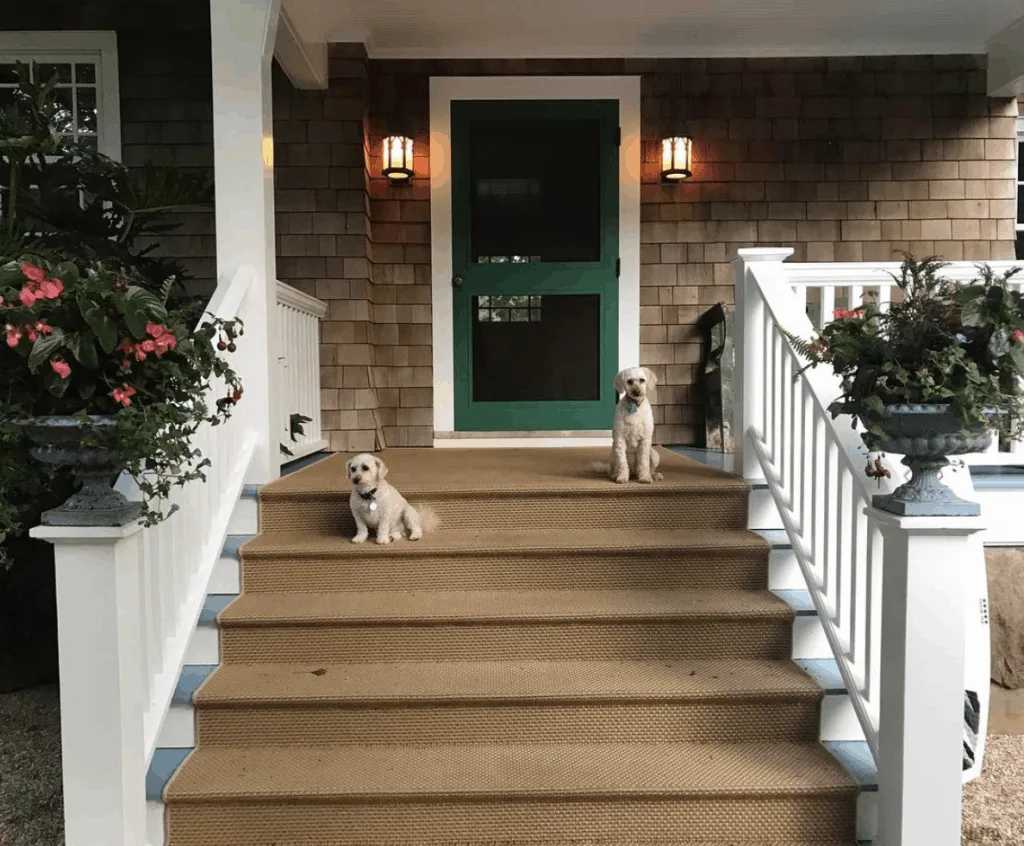 Christie Brinkley Labradoodle