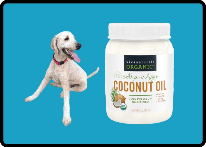 can you rub coconut oil on dogs skin