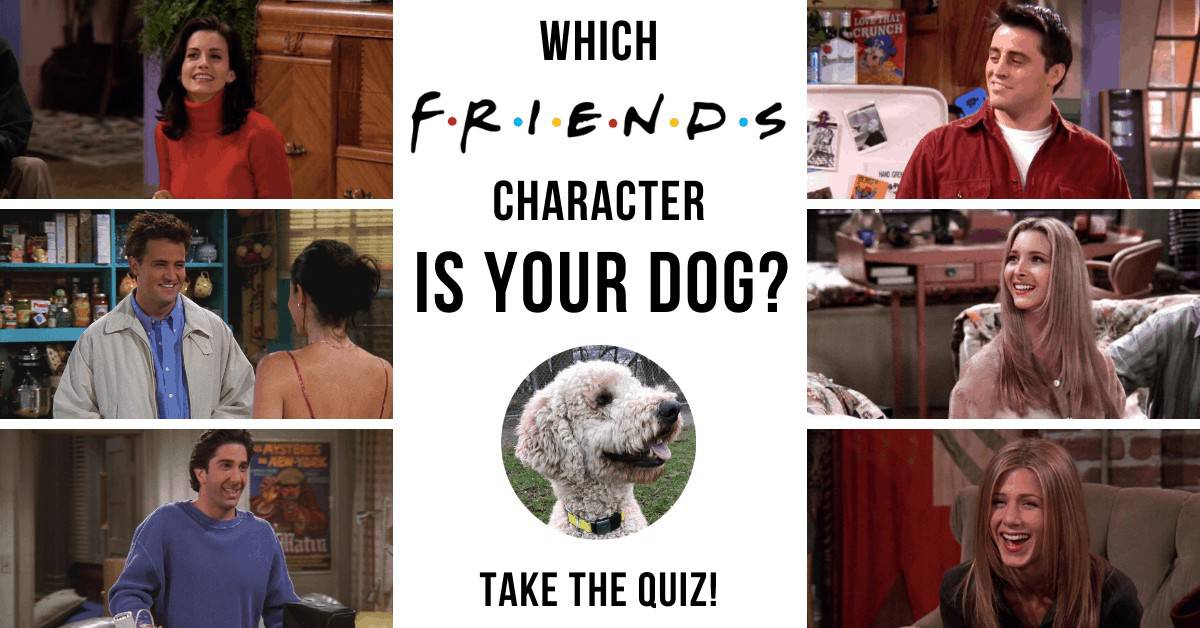 which friends character would your dog be