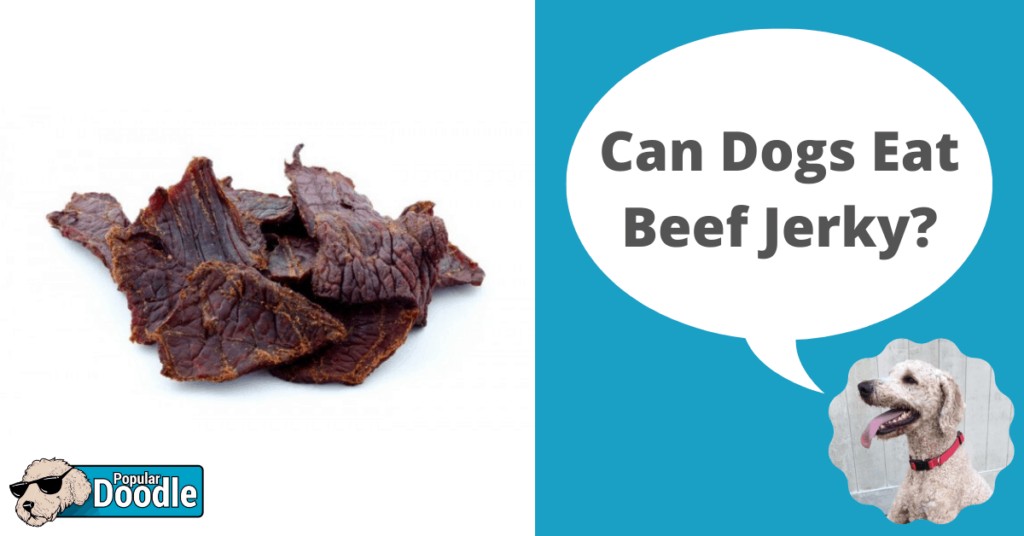is beef jerky bad for dogs