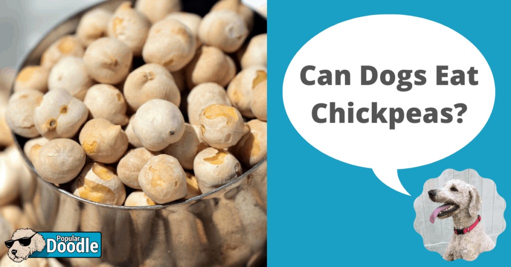 Can dog 2025 eat chickpeas