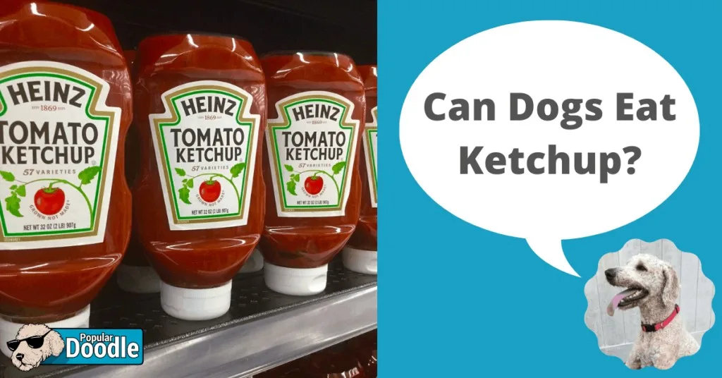 Can Dogs Eat Ketchup Is Ketchup Bad for Dogs