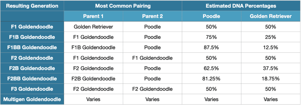 Table of goldendoodle generations which will influence coat texture.