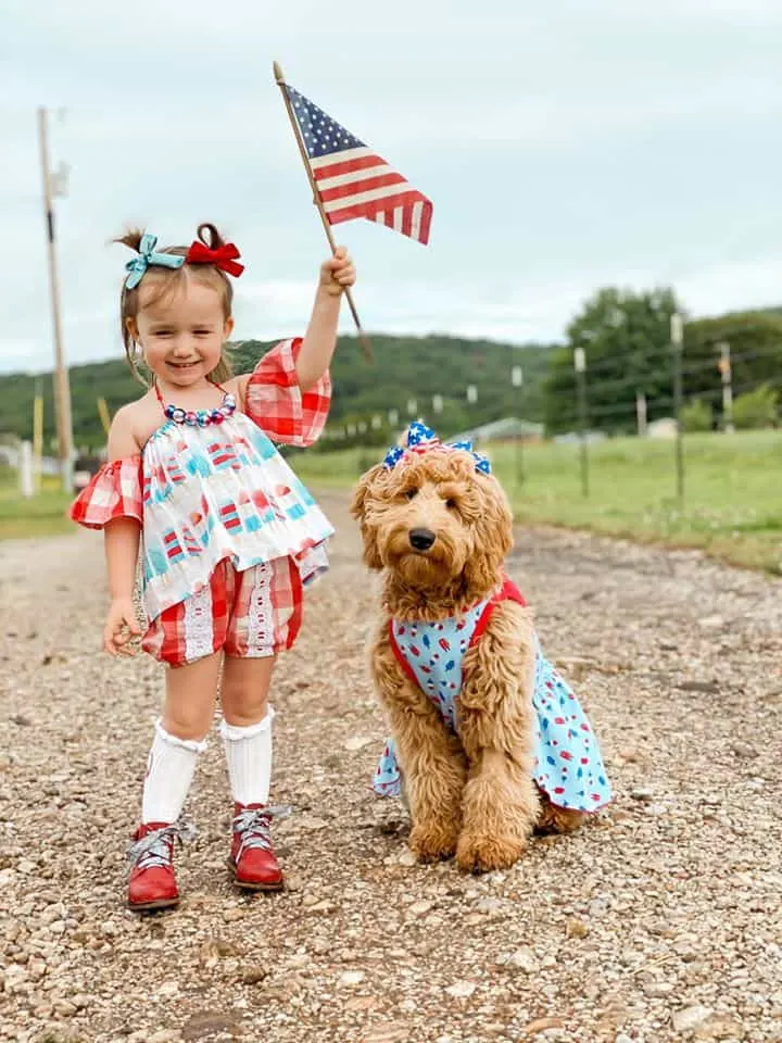 Lemon the Goldendoodle from Arkansas