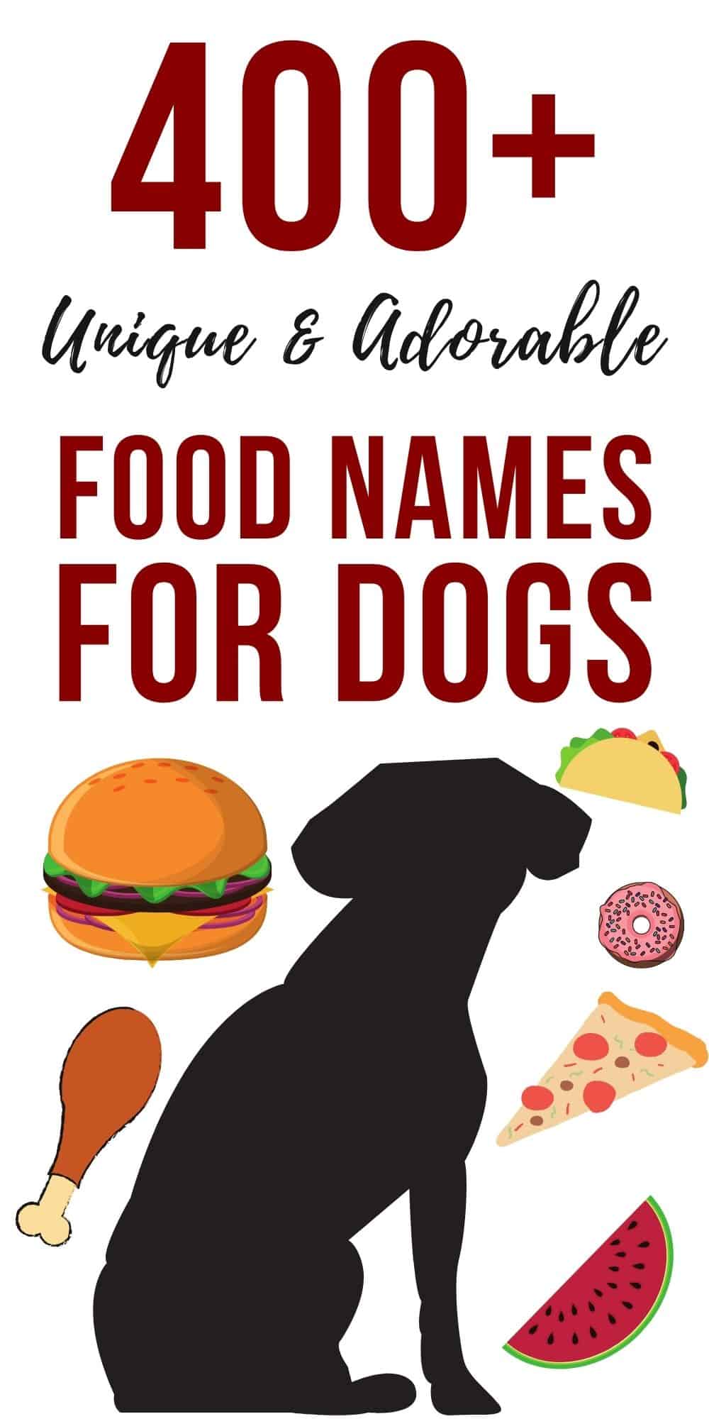 400 Unique And Adorable Food Names For Dogs