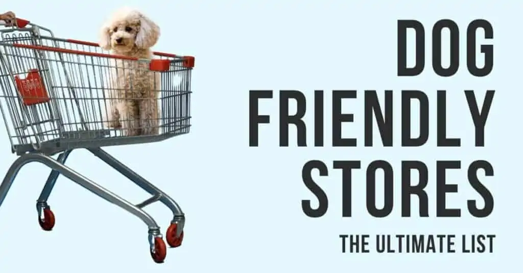 The Ultimate Dog Friendly Stores List: 38 Well-Known Stores That Allow Dogs (With Proof!)