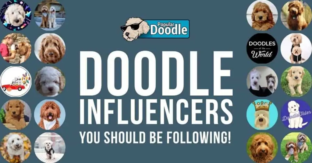 Doodle-Influencers