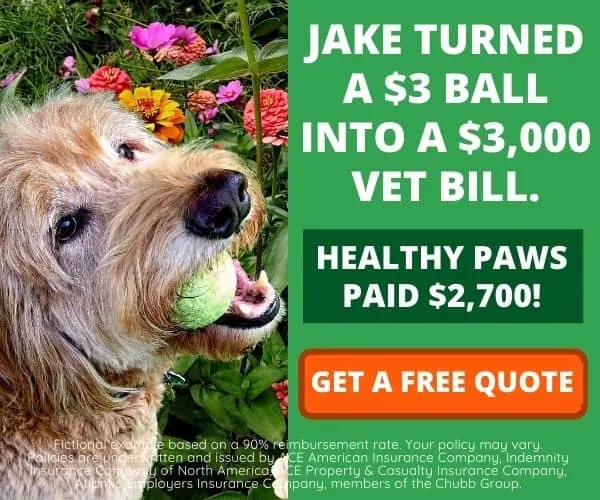 Healthy Paws Pet Insurance