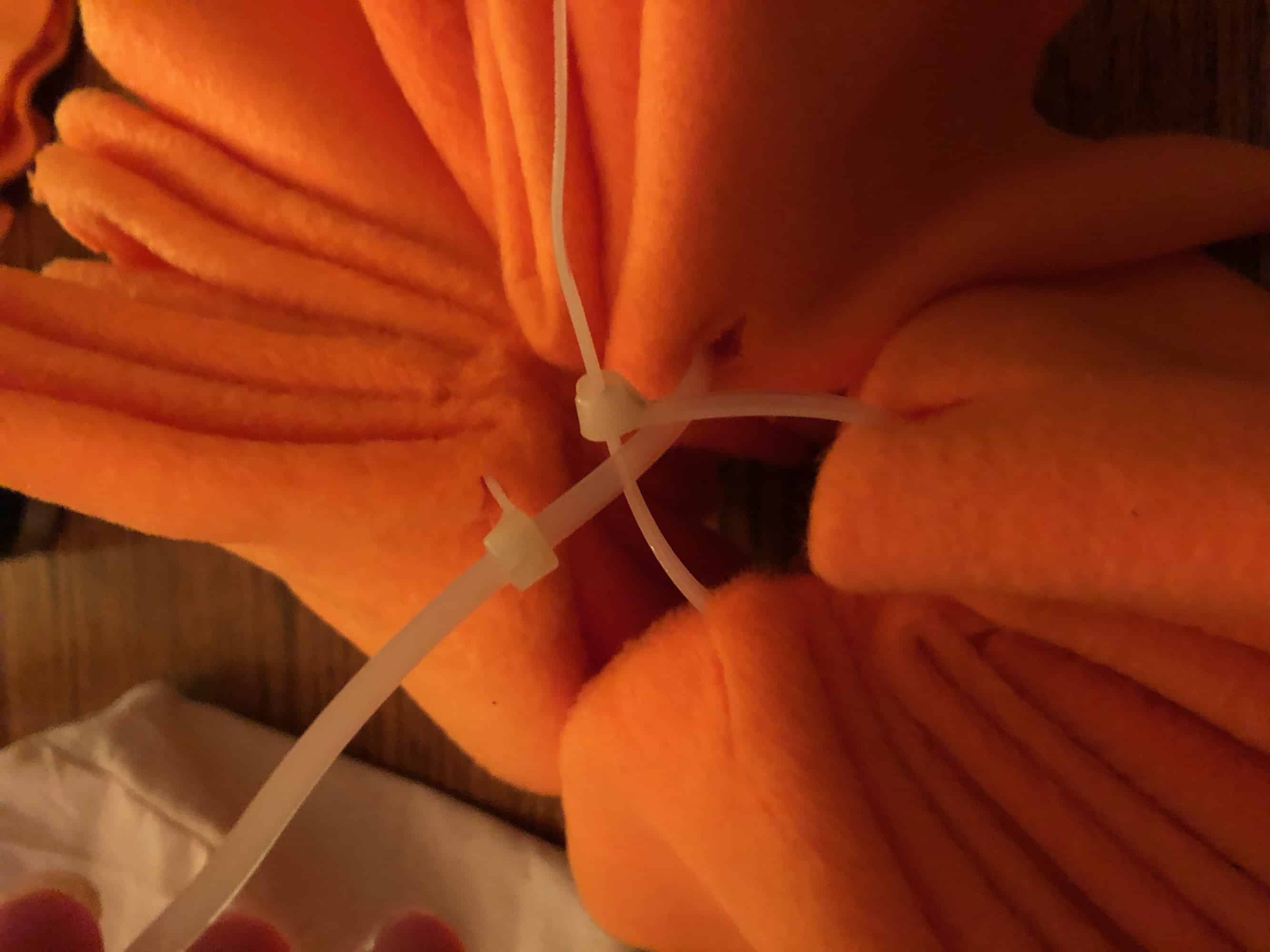 DIY Snuffle Ball for Dogs How to Make a Snuffle Ball in 10 Easy Steps!