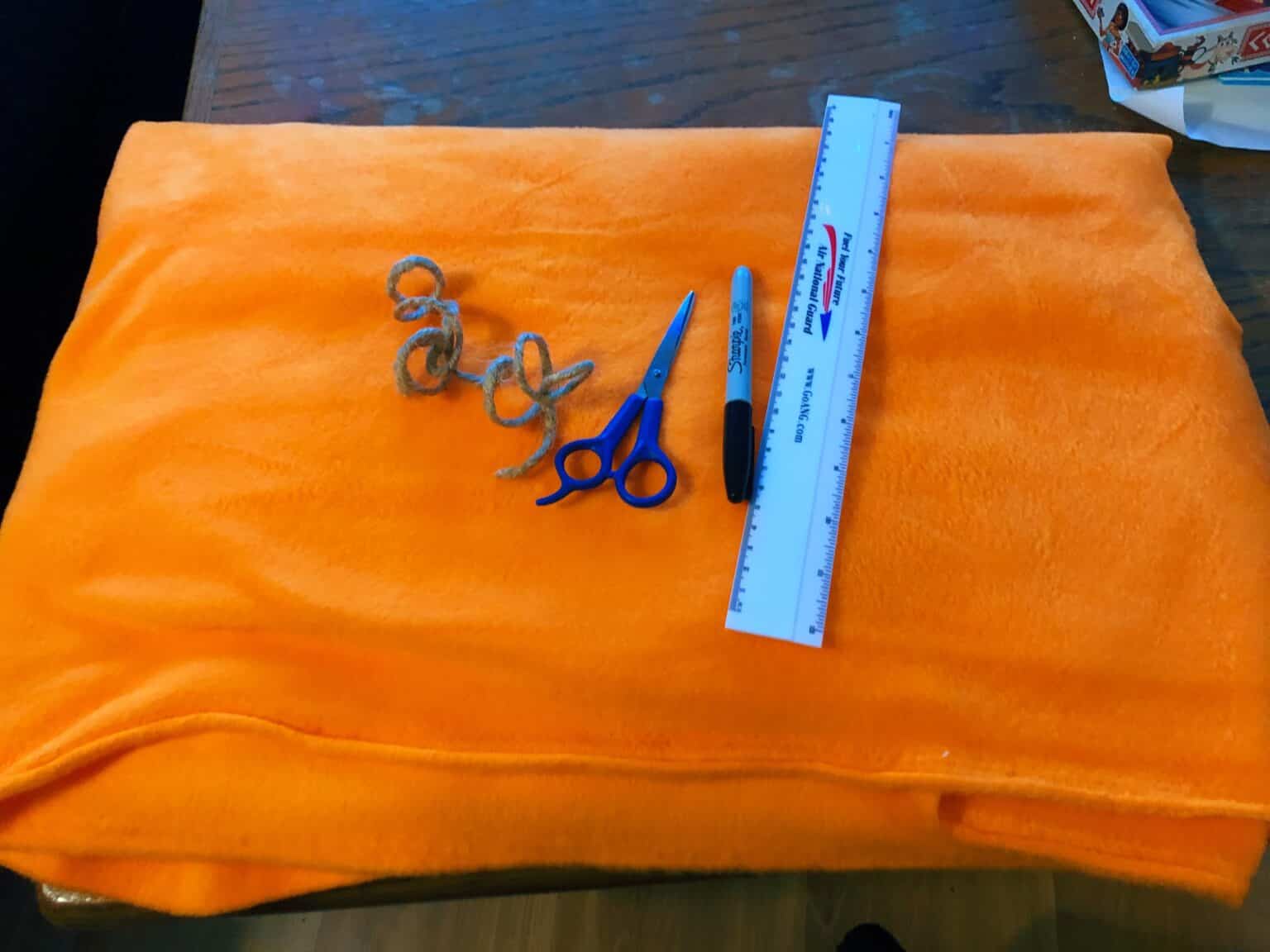 DIY Snuffle Ball for Dogs How to Make a Snuffle Ball in 10 Easy Steps!