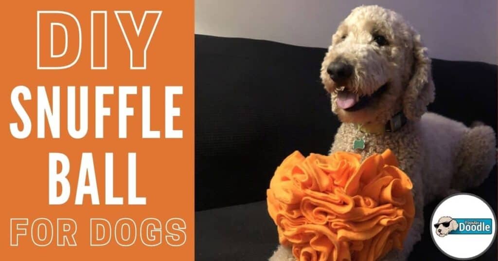 diy snuffle ball for dogs