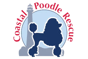 Coastal Poodle Rescue