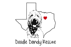 Doodle Dandy Rescue