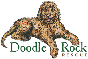 Doodle Rock Rescue