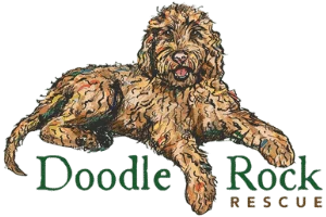 Doodle Rock Rescue