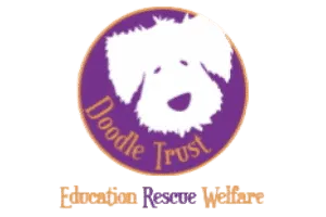 Doodle Trust