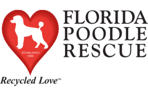 Florida Poodle Rescue