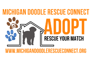 Michigan Doodle Rescue Connect