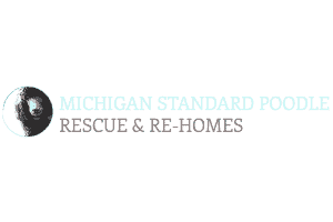 Michigan Standard Poodle Rescue & Rehomes