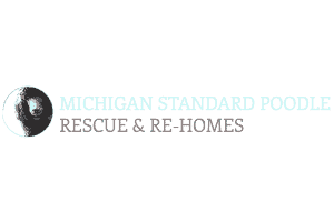 Michigan Standard Poodle Rescue & Rehomes