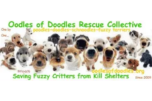 Oodles of Doodles Rescue Collective