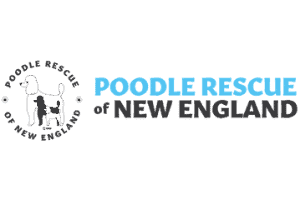 Poodle Rescue of New England