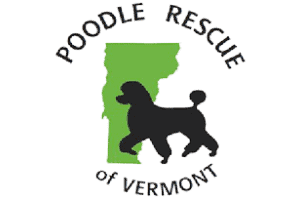 Poodle Rescue of Vermont