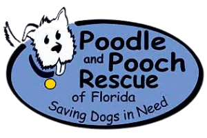 Poodle and Pooch Rescue of Florida