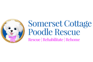 Somerset Cottage Poodle Rescue