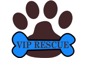 vip rescue