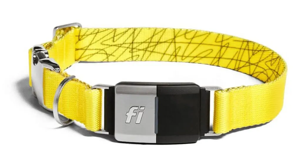 Fi GPS Tracking Smart Collar Review