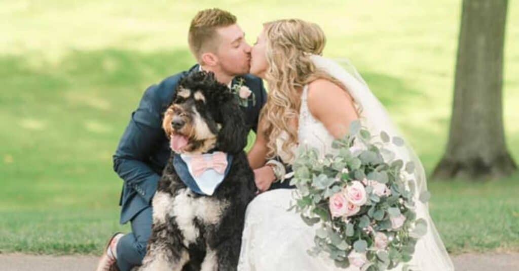 They Said "I Do" With Their Doodle: These Dogs Stole the Show at Their Human's Wedding!