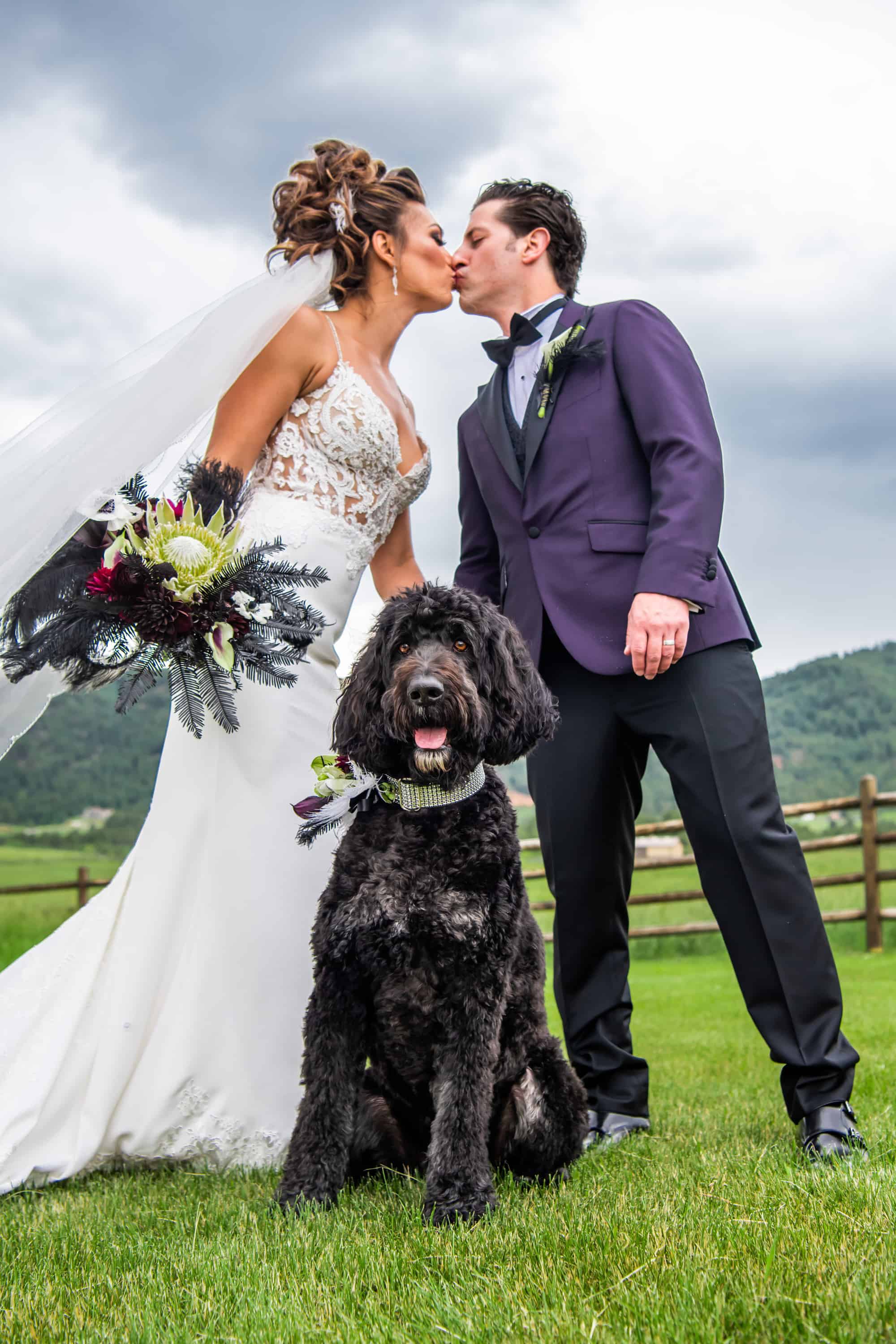 dog flower girl at wedding