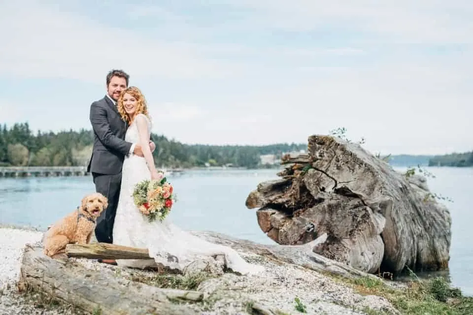 labradoodle wedding photo