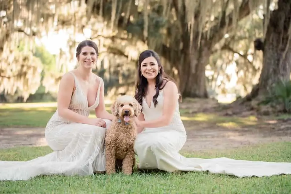 wedding with a goldendoodle in it