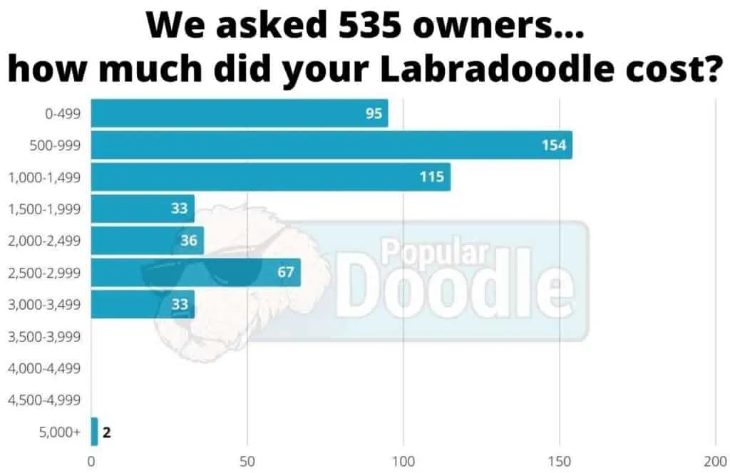 labradoodle price survey results