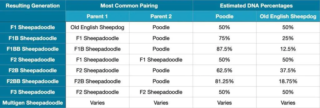 sheepadoodle generations chart