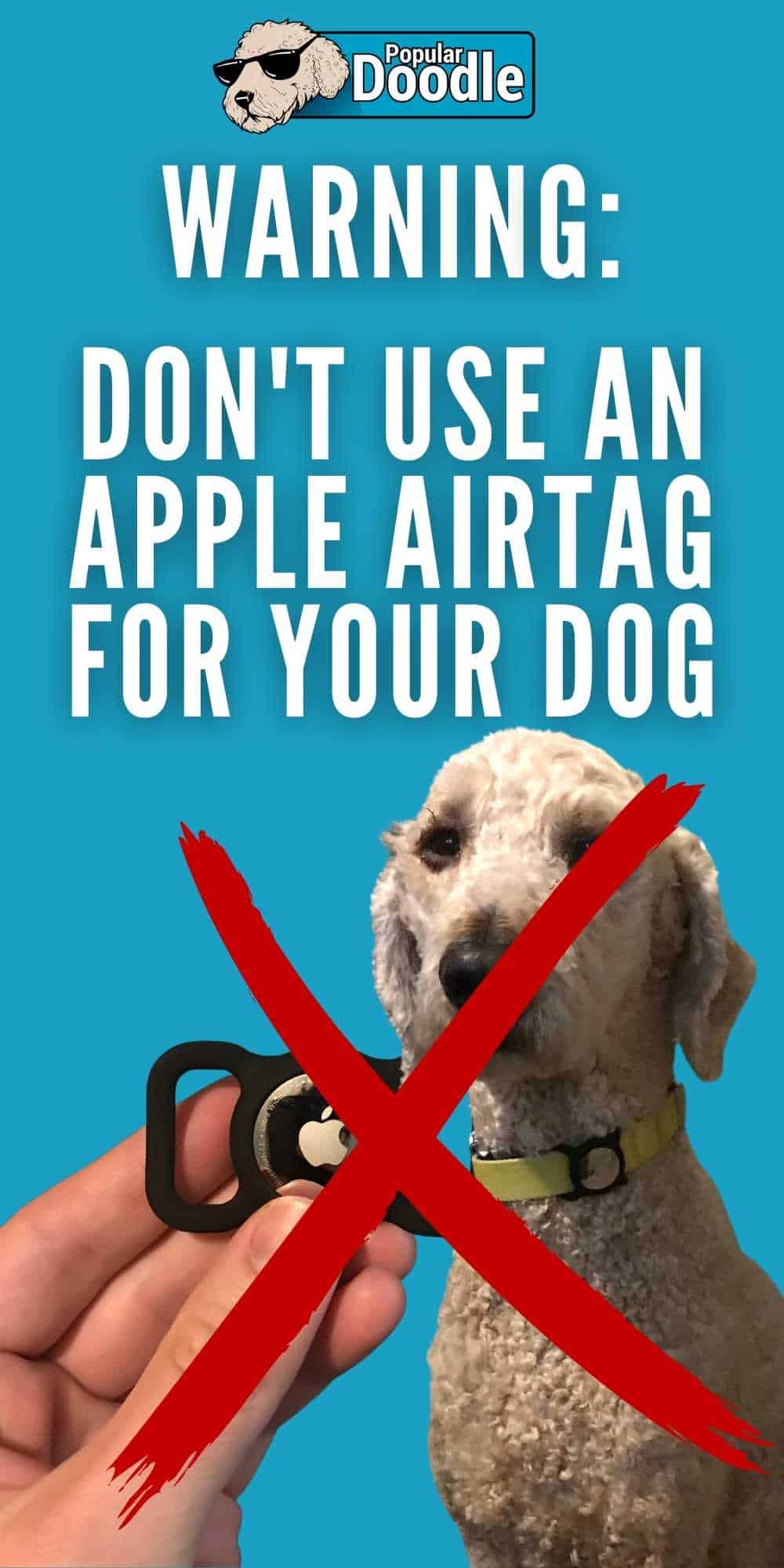WARNING Using an Apple AirTag to Track Your Dog Isn’t a “Hack”—It’s