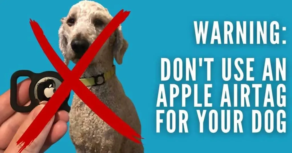 apple-airtag-for-dogs